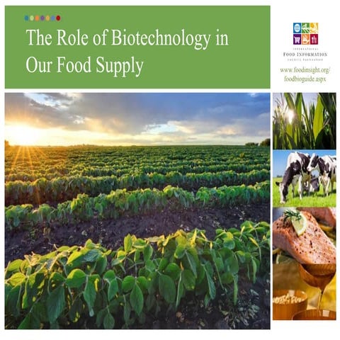 The Role of Biotechnology in our Food Supply