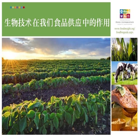 The Role of Biotechnology in our Food Supply