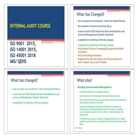 FINAL IMS PPT  -  Read-Only  -  Compatibility Mode.pdf