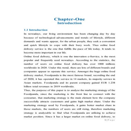 Final Internshp Report by mostafa.doc