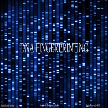 DNA fingerprint