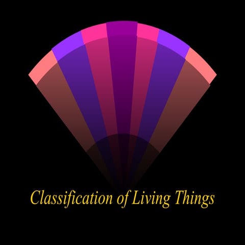 finalization.ppt sm fhhtfgufdfjjvcfddgjj