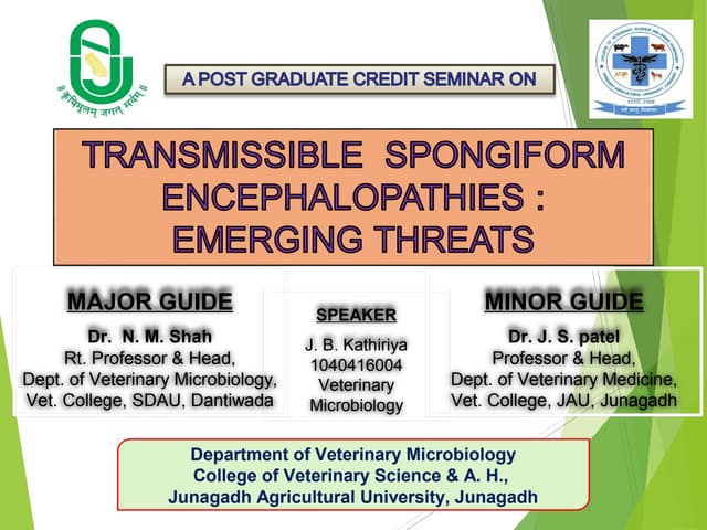 TSE/BSE Evaluation | PPTX