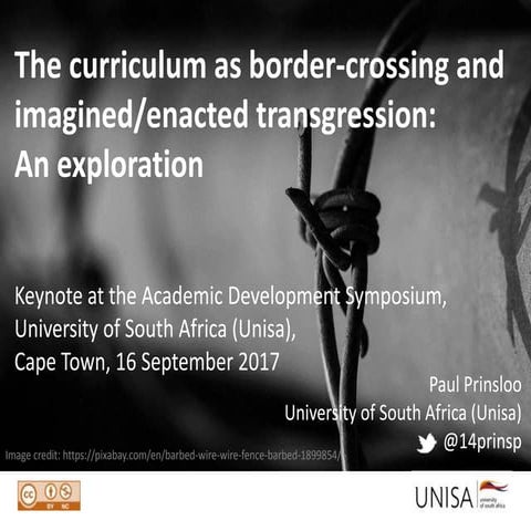 curriculum as border-crossing and imagined/enacted transgression:  An explora...