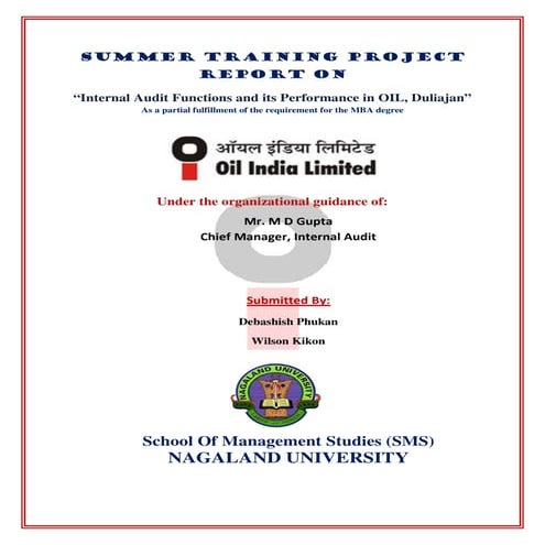 Summer training project report on Internal Audit Functions and its performanc...