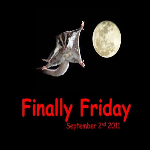 Finally friday  9 2-2011