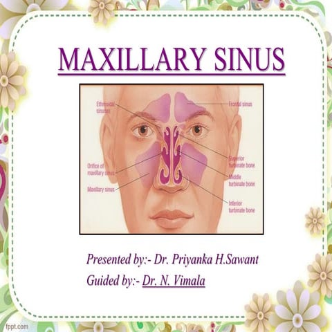 maxillary sinus seminar
