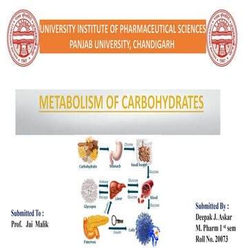 Metabolism of Carbohydrates