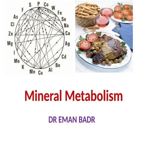 final_minerals.----------------------------pptx