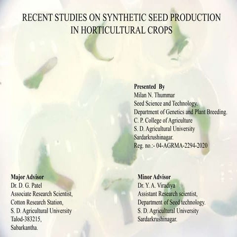  RECENT STUDIES ON SYNTHETIC SEED PRODUCTION  IN HORTICULTURAL CROPS.pptx