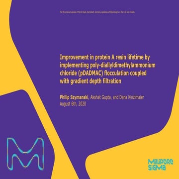 Improvement in Protein A Resin Lifetime