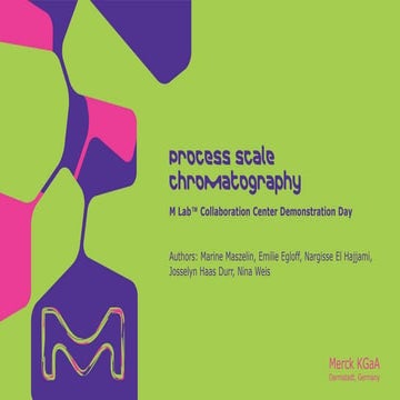 Process Scale Chromatography