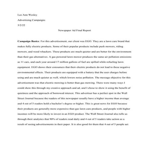 Final Newspaper Ad Report