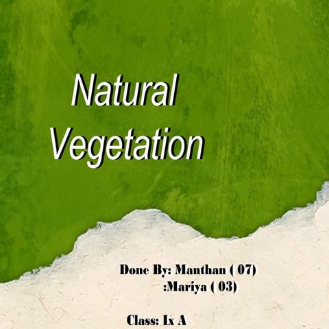 NATURAL VEGETATION