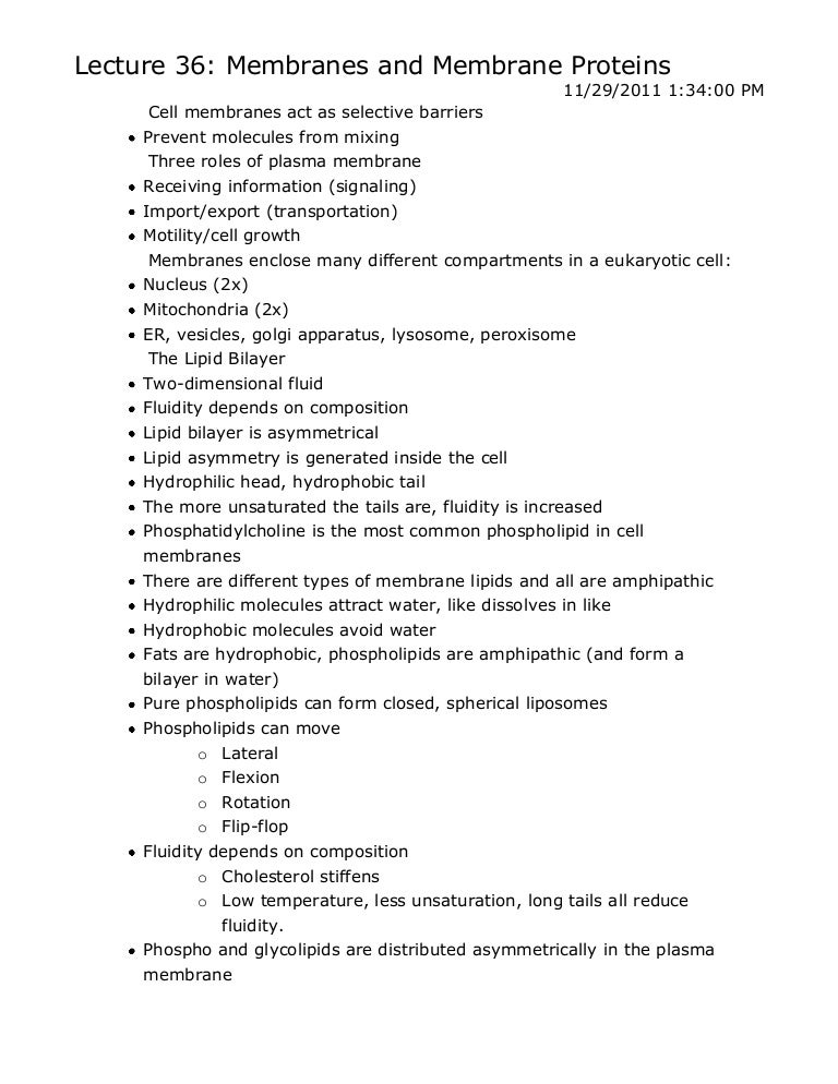 Outline for final paper picture