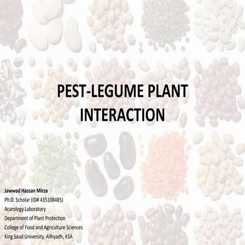 Final pest legume plant interaction