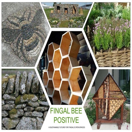 Fingal Bee Positive