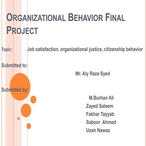 Organizational Behavior