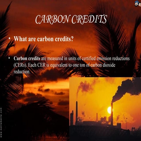 carbon credits