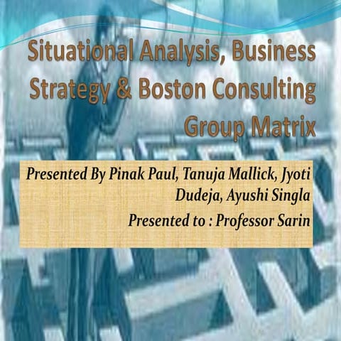 Situational analysis, Business strategy and BCG matrix