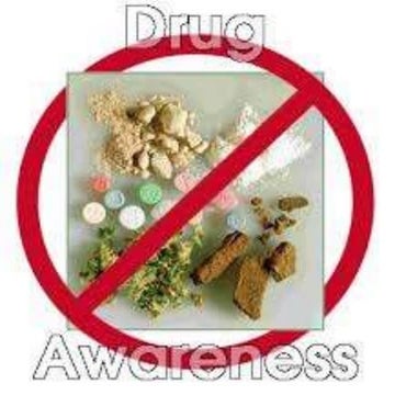 Final Presentation about Drugs