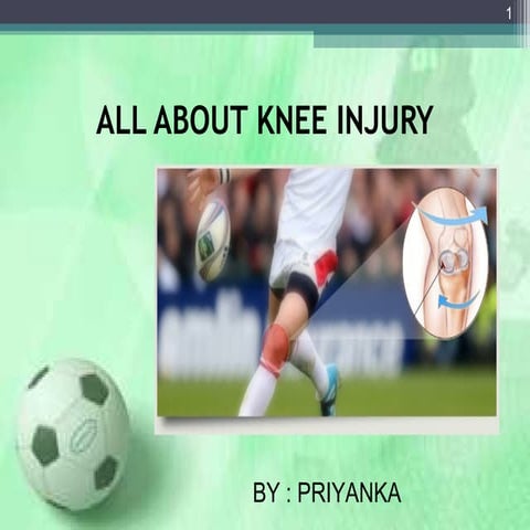 Knee Injuries In Detail 