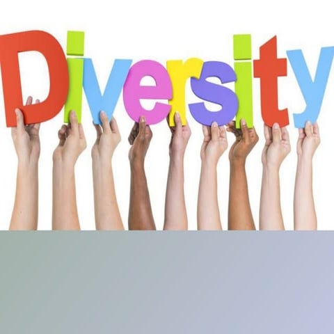 Diversity Management