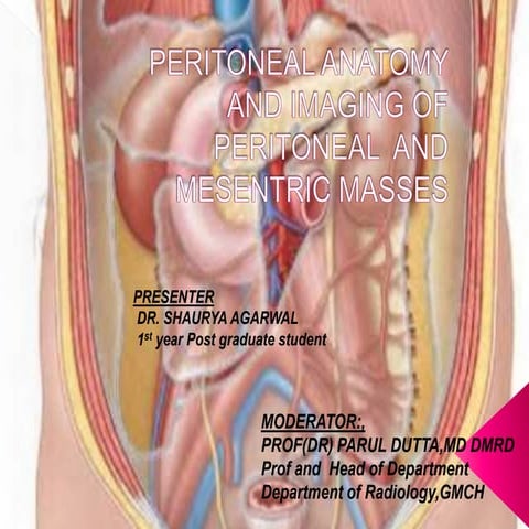 peritoneum