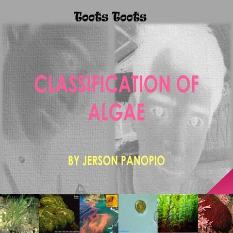 Final ppt. in biodiversity