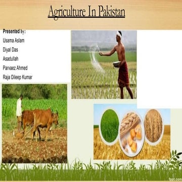 Agriculture sector in Pakistan 2021-22.
