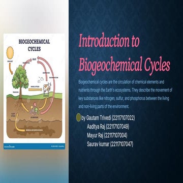 Nitrogen , sulphur, phosphorus cycle PPT PDF.pdf