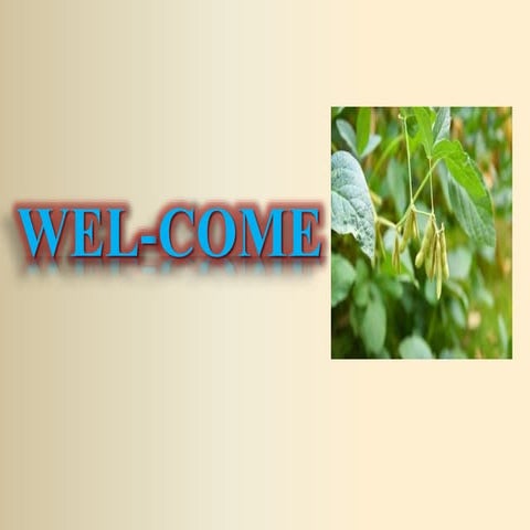 Final ppt project and tour