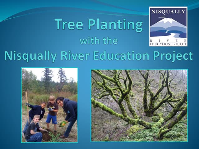 Ohop Tree Planting-middle school