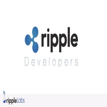 Ripple Developer Conference 2013 at Money2020