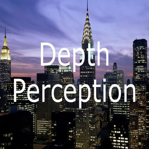 EDU290 Depth Perception