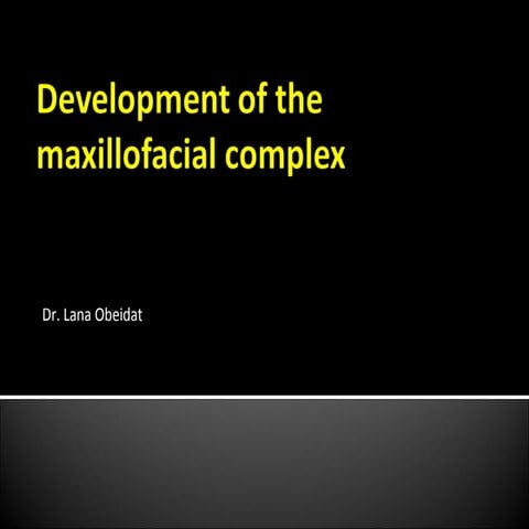 (Lec 3) Embryology - development of the maxillofacial complex