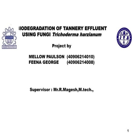 BIODEGRADATION OF TANNERY EFFLUENTUSING FUNGI Trichoderma harzianum 