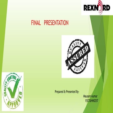 Final presentation (1)