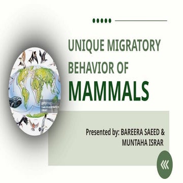 Presentation on unique migratory behaviors of animal