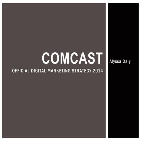 Final presentation adv 420