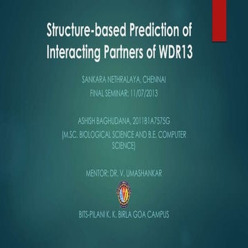 Structure Prediction of WDR13 and a study of its Interacting Partners