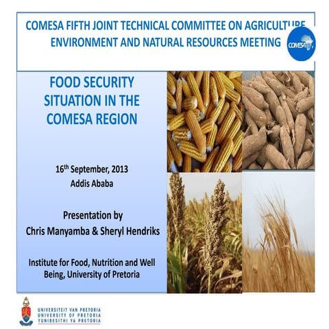 Food Security Situation in East and Southern Africa