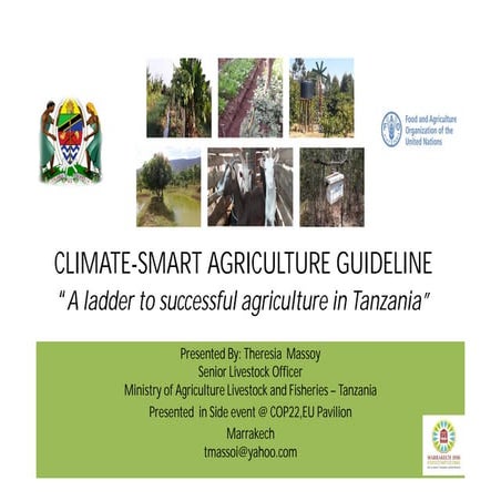 CSA guideline - A ladder to successful agriculture in Tanzania