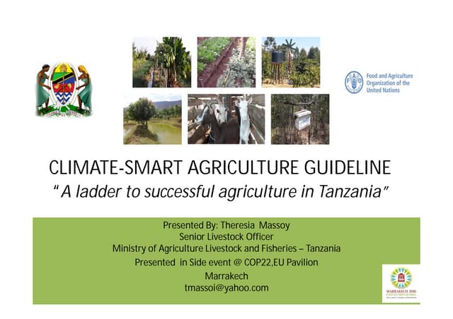 CSA guideline - A ladder to successful agriculture in Tanzania