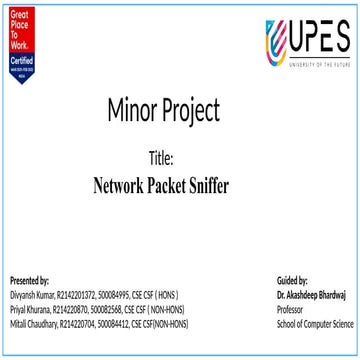 Comprehensive Network Packet Sniffer for Real-Time Traffic Monitoring ...