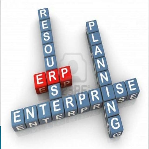 Final presentation mis (erp)