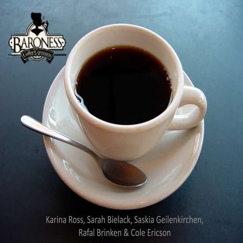 Digital Marketing - Baroness Coffee Case