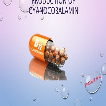 Production of vitamin B12