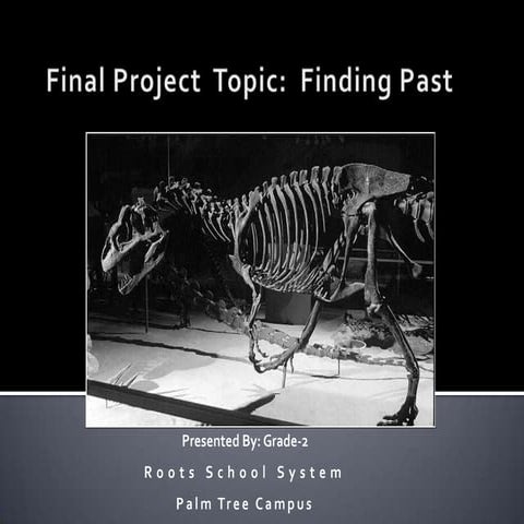 Final project Grade 2