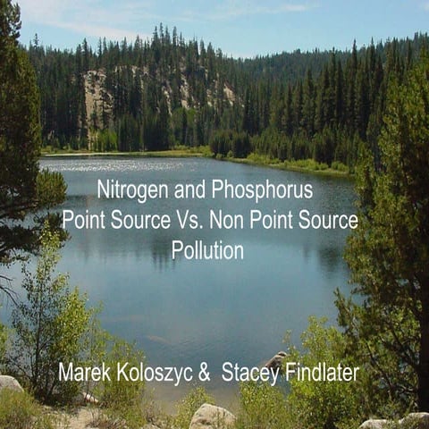 Nitrogen and Phosphorus Pollution in Limnological Systems